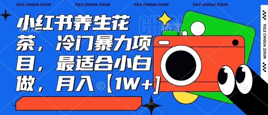小红书养生花茶，冷门暴力项目，最适合小白做，月入【1W+】-网创资源