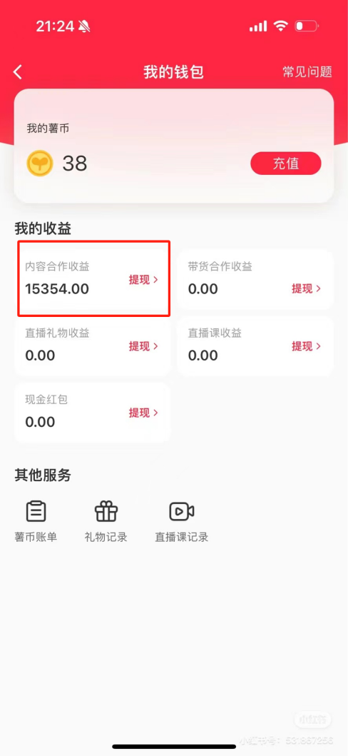 热门评论引爆小红书流量，作品制作简单，广告接到手软，月入过万不是梦-网创资源