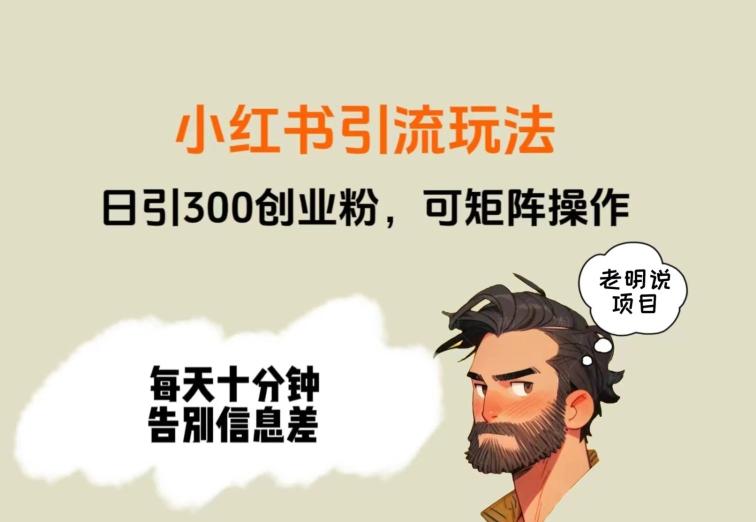 靠小红书视频日印300粉，两分钟一个视频轻松矩阵-网创资源