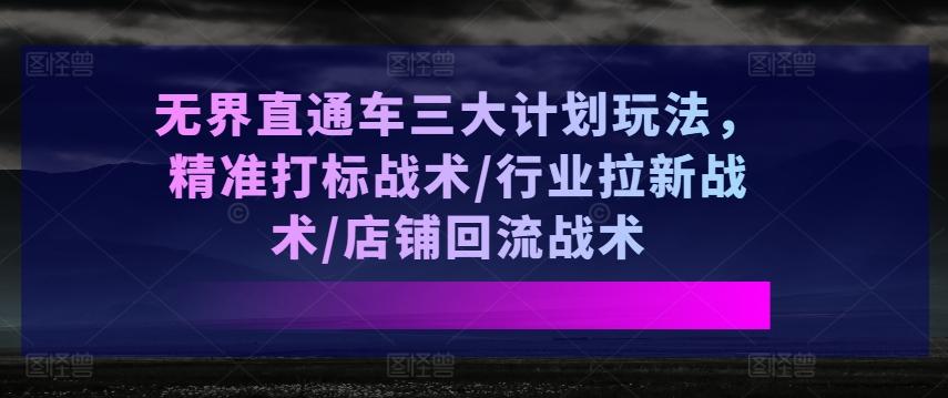 无界直通车三大计划玩法，精准打标战术/行业拉新战术/店铺回流战术-网创资源