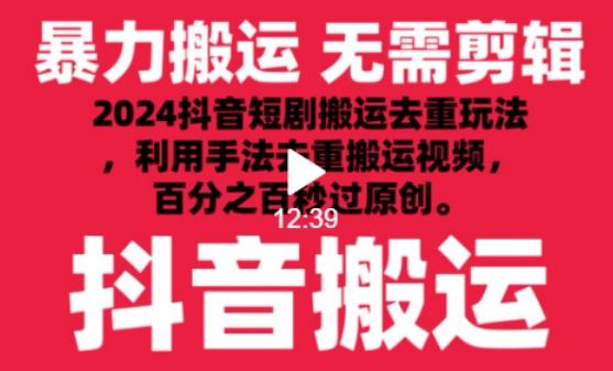 2024最新抖音搬运技术，抖音短剧视频去重，手法搬运，利用工具去重，达到秒过原创的效果【揭秘】-网创资源