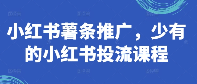 小红书薯条推广，少有的小红书投流课程-网创资源