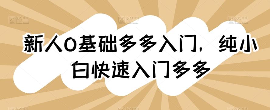 新人0基础多多入门，​纯小白快速入门多多-网创资源