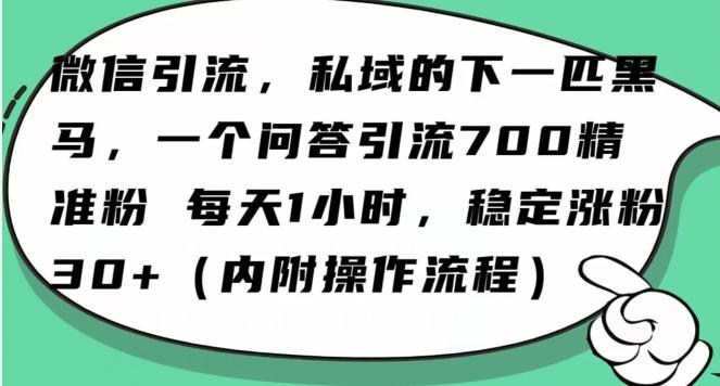 怎么搞精准创业粉？微信新赛道，每天一小时，利用Ai一个问答日引100精准粉-网创资源