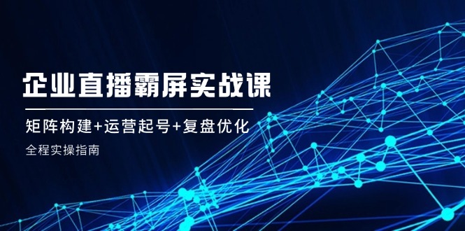 企业直播霸屏实战课：矩阵构建+运营起号+复盘优化，全程实操指南-网创资源
