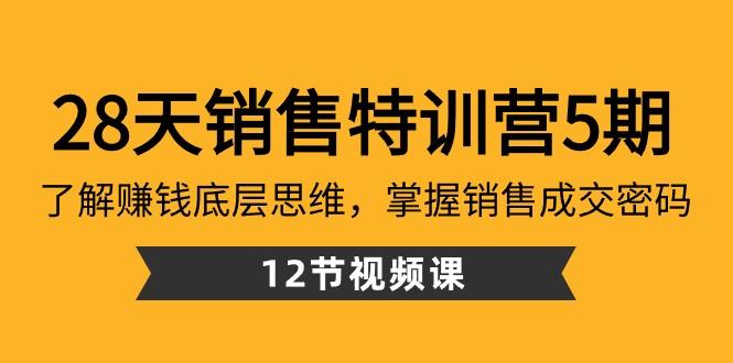 28天销售特训营5期：了解赚钱底层思维，掌握销售成交密码（12节课）-网创资源