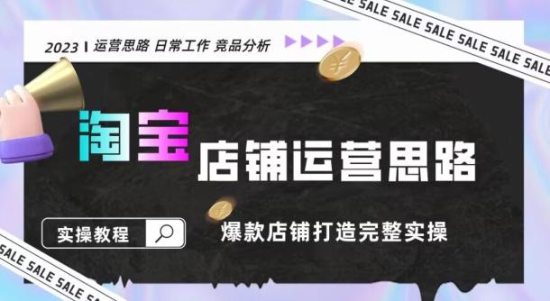 2023淘宝店铺运营全攻略：竞品分析，打造爆款店铺完整实操（附运营思维素材）-网创资源