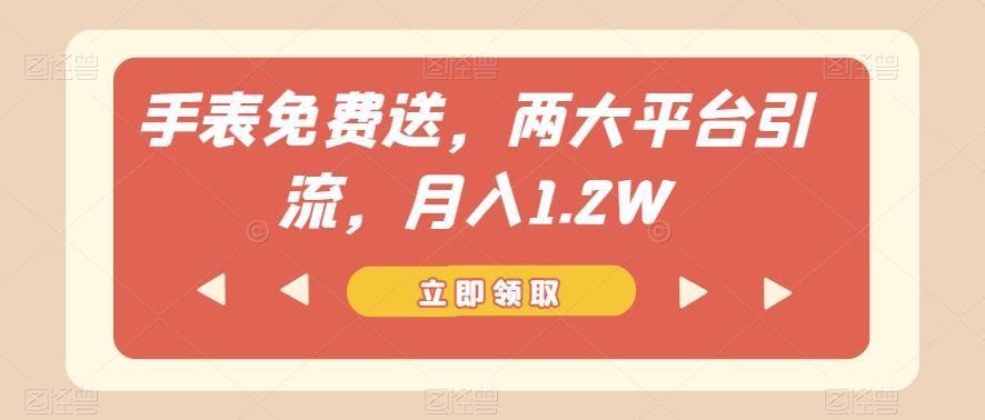 手表免费送，两大平台引流，月入1.2W【揭秘】-网创资源
