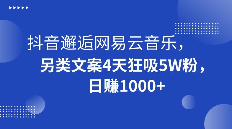 抖音邂逅网易云音乐，另类文案4天狂吸5W粉，日赚1000+【揭秘】-网创资源