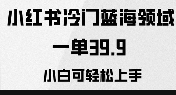 小红书冷门蓝海领域，一单39.9，小白可轻松上手-网创资源