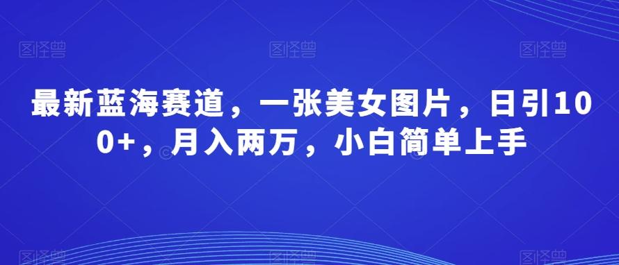 最新蓝海赛道，一张美女图片，日引100+，月入两万，小白简单上手-网创资源