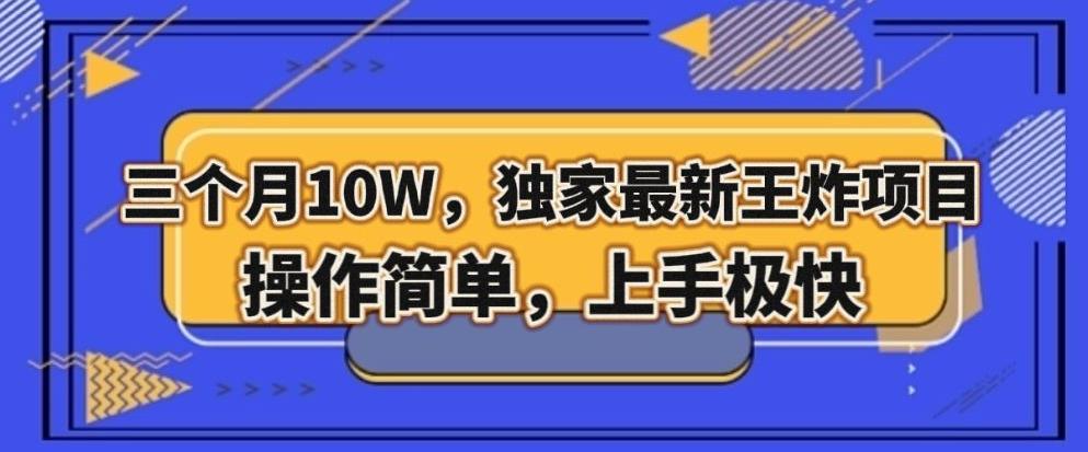 三个月10W，独家最新王炸项目！操作简单，上手极快【揭秘】-网创资源