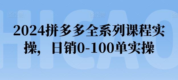 2024拼多多全系列课程实操，日销0-100单实操【必看】-网创资源