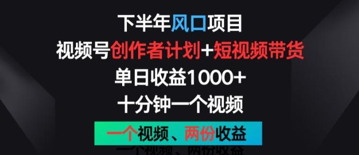 下半年风口项目，视频号创作者计划+视频带货，一个视频两份收益，十分钟一个视频【揭秘】-网创资源