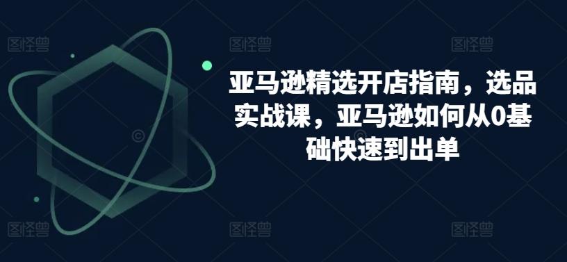 亚马逊精选开店指南，选品实战课，亚马逊如何从0基础快速到出单-网创资源