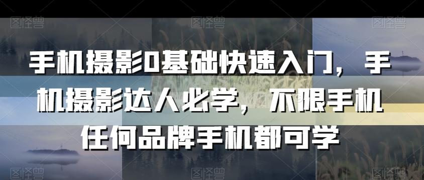 手机摄影0基础快速入门，手机摄影达人必学，不限手机任何品牌手机都可学-网创资源