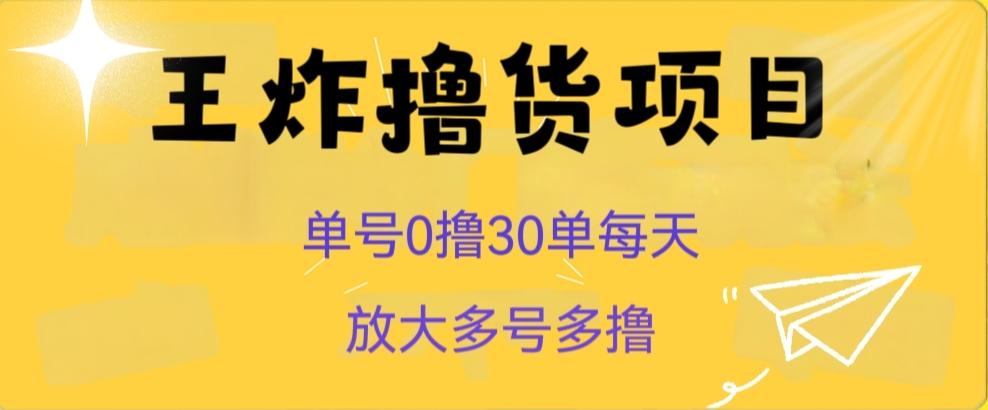 王炸撸货项目，单号0撸30单每天，多号多撸【揭秘】-网创资源