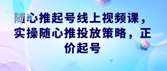 随心推起号线上视频课，实操随心推投放策略，正价起号-网创资源