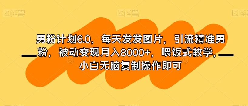 男粉计划6.0，每天发发图片，引流精准男粉，被动变现月入8000+，喂饭式教学，小白无脑复制操作即可-网创资源