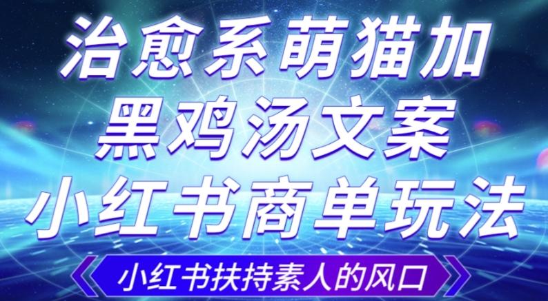 治愈系萌猫加+黑鸡汤文案，小红书商单玩法，3~10天涨到1000粉，一单200左右-网创资源