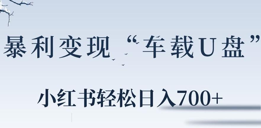 小红书“车载U盘”暴利引流，日入700+-网创资源