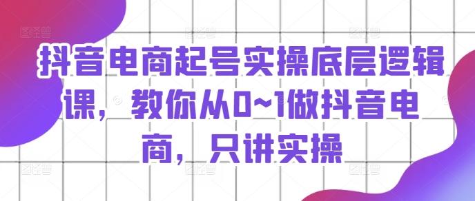 抖音电商起号实操底层逻辑课，教你从0~1做抖音电商，只讲实操-网创资源