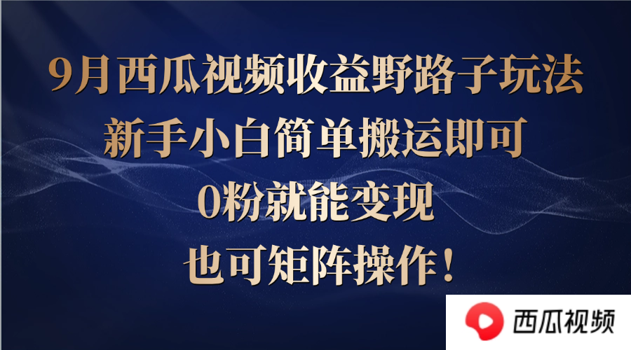西瓜视频收益野路子玩法，新手小白简单搬运即可，0粉就能变现，也可矩…-网创资源