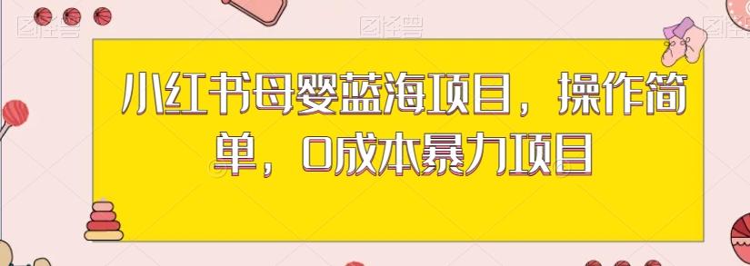 小红书母婴蓝海项目，操作简单，0成本暴力项目-网创资源