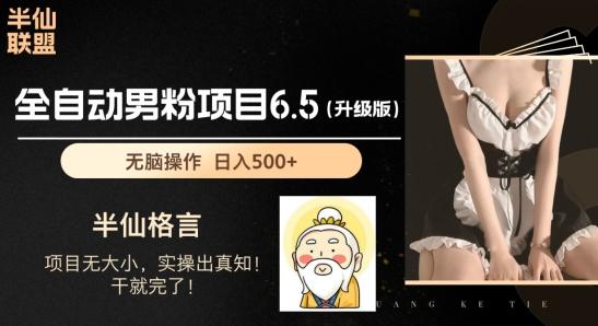男粉项目6.5升级版，全自动男粉项目，日收入1K+【揭秘】-网创资源