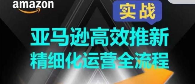 亚马逊高效推新精细化运营全流程，全方位、快速拉升产品排名和销量!-网创资源