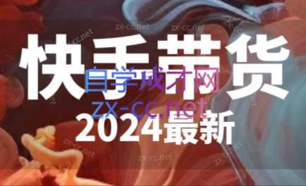 快手带货(2024最新)-网创资源