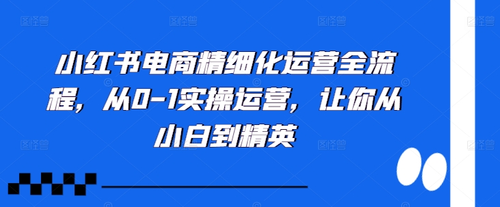 小红书电商精细化运营全流程，从0-1实操运营，让你从小白到精英-网创资源