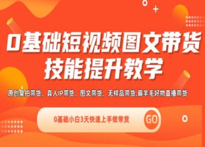 0基础短视频图文带货实操技能提升教学(直播课+视频课),0基础小白3天快速上手做带货-网创资源