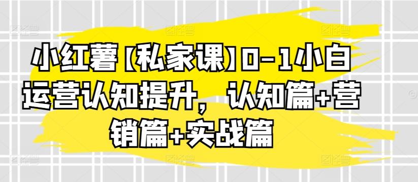 小红薯【私家课】0-1小白运营认知提升，认知篇+营销篇+实战篇-网创资源