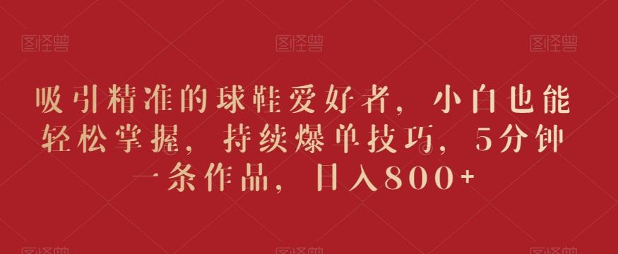 吸引精准的球鞋爱好者，小白也能轻松掌握，持续爆单技巧，5分钟一条作品，日入800+【揭秘】-网创资源