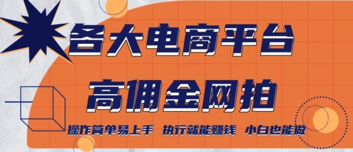 各大电商平台高佣金网拍，操作简单易上手，执行就能赚钱，小白也能做-网创资源
