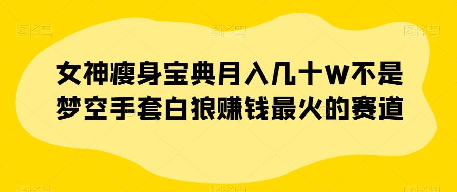 女神瘦身宝典月入几十W不是梦空手套白狼赚钱最火的赛道【揭秘】-网创资源