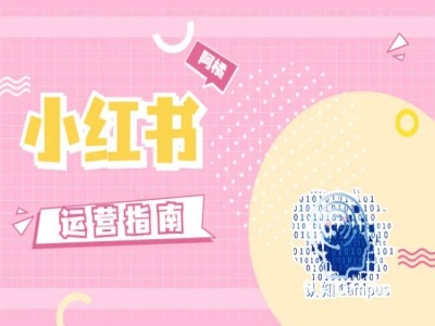 小红书运营指南，没有套路，全是经验-网创资源