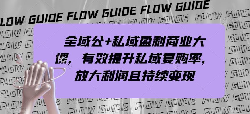 全域公+私域盈利商业大课，有效提升私域复购率，放大利润且持续变现-网创资源