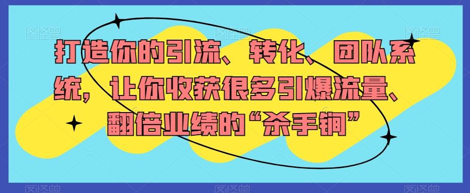 打造你的引流、转化、团队系统，让你收获很多引爆流量、翻倍业绩的“杀手锏”-网创资源