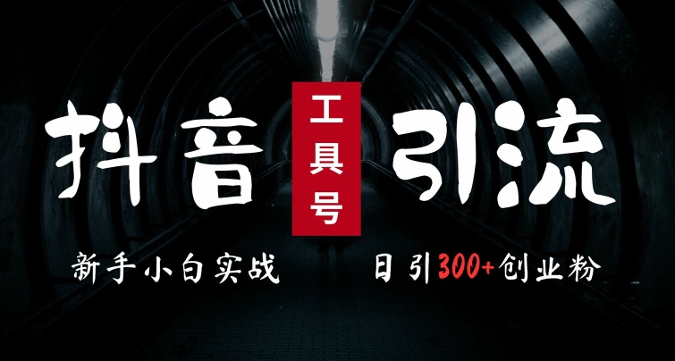 2024最新抖音工具号引流玩法，高效日引300+创业粉，当天变现5k，小白也可成为实战高手-网创资源