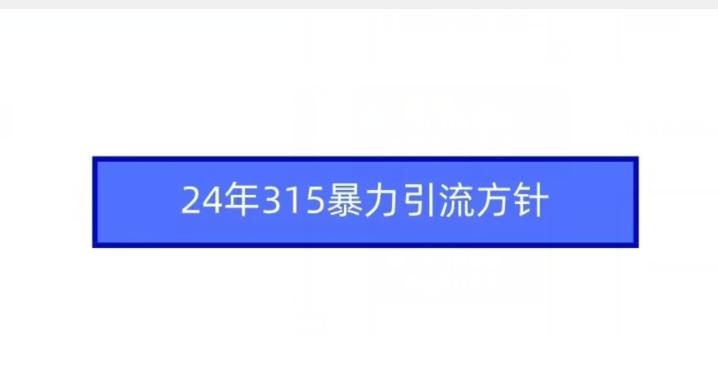 24年315暴力引流方针-网创资源