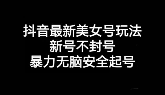 抖音最新美女号玩法，新号不封号，暴力无脑安全起号【揭秘】-网创资源
