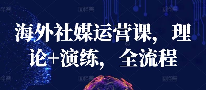 海外社媒运营课，理论+演练，全流程-网创资源