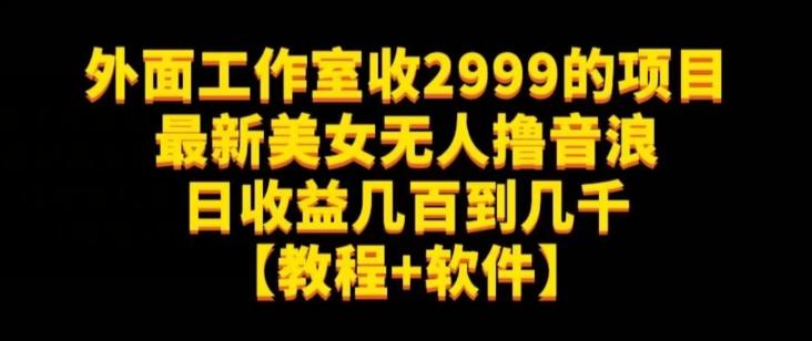 外面工作室收2999的项目最新美女无人撸音浪日收益几百到几千【教程+软件】（仅揭秘）-网创资源