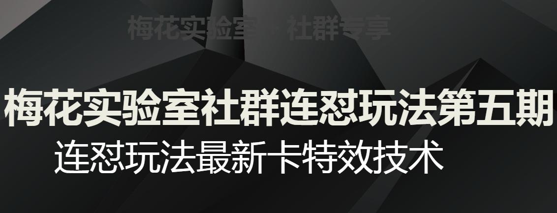 梅花实验室社群连怼玩法第五期，视频号连怼玩法最新卡特效技术-网创资源