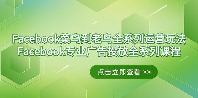 Facebook-菜鸟到老鸟全系列运营玩法+Facebook-专业广告投放全系列课程-网创资源