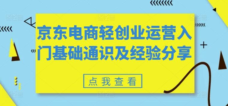 京东电商轻创业运营入门基础通识及经验分享-网创资源
