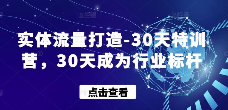 实体流量打造-30天特训营，30天成为行业标杆-网创资源