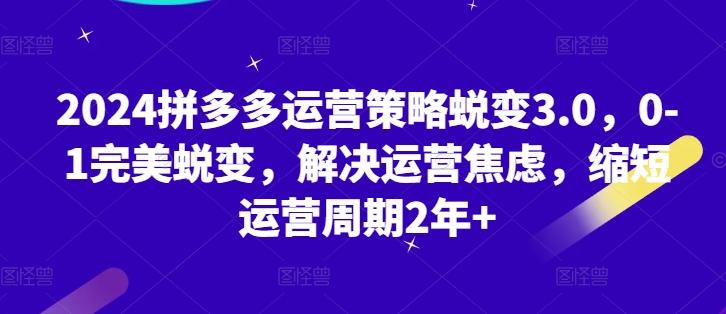 2024拼多多运营策略蜕变3.0，0-1完美蜕变，解决运营焦虑，缩短运营周期2年+-网创资源